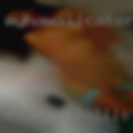 Fucking Hollister