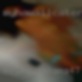 Milfs Panama